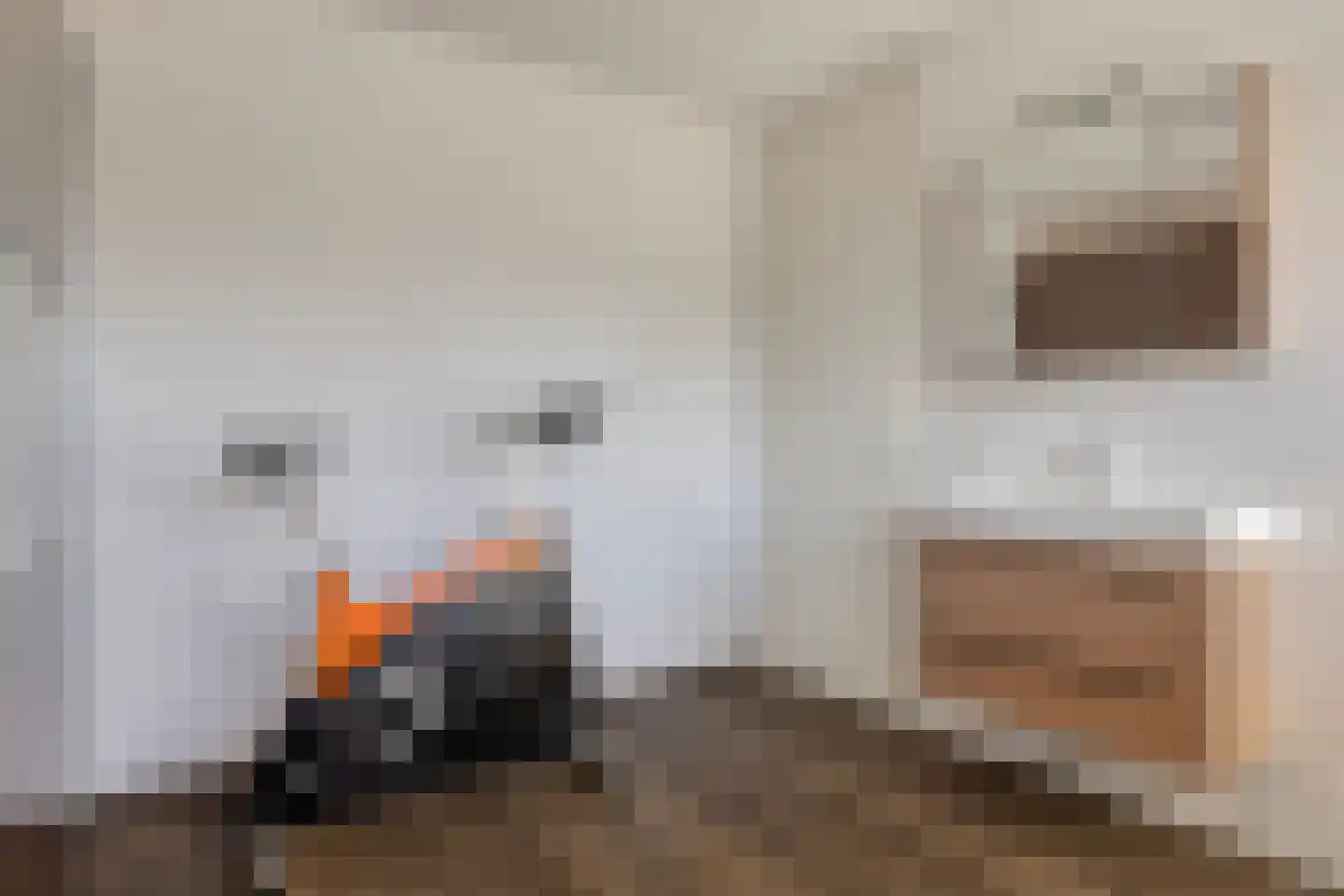 Lijsterbesstraat 9 Halsteren thumbnail 38