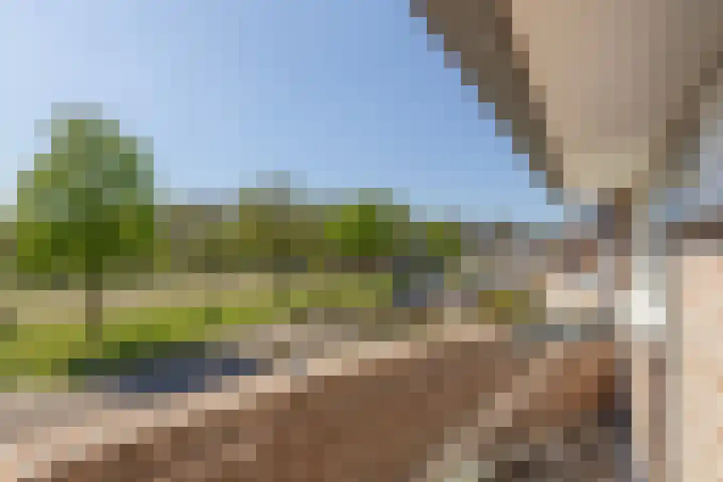 Lijsterbesstraat 9 Halsteren thumbnail 4