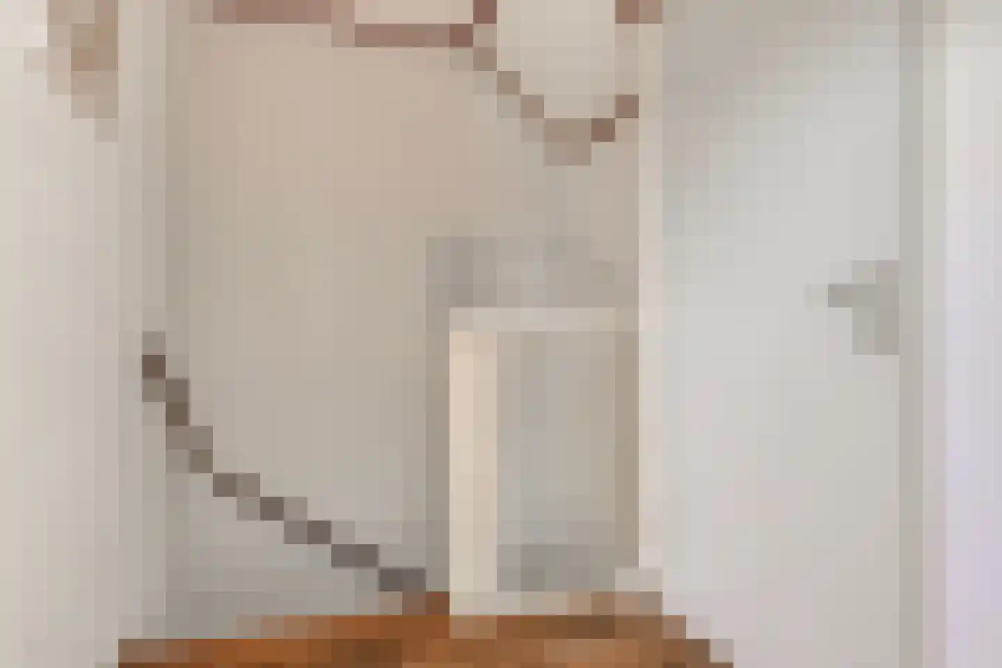 Lijsterbesstraat 9 Halsteren thumbnail 42