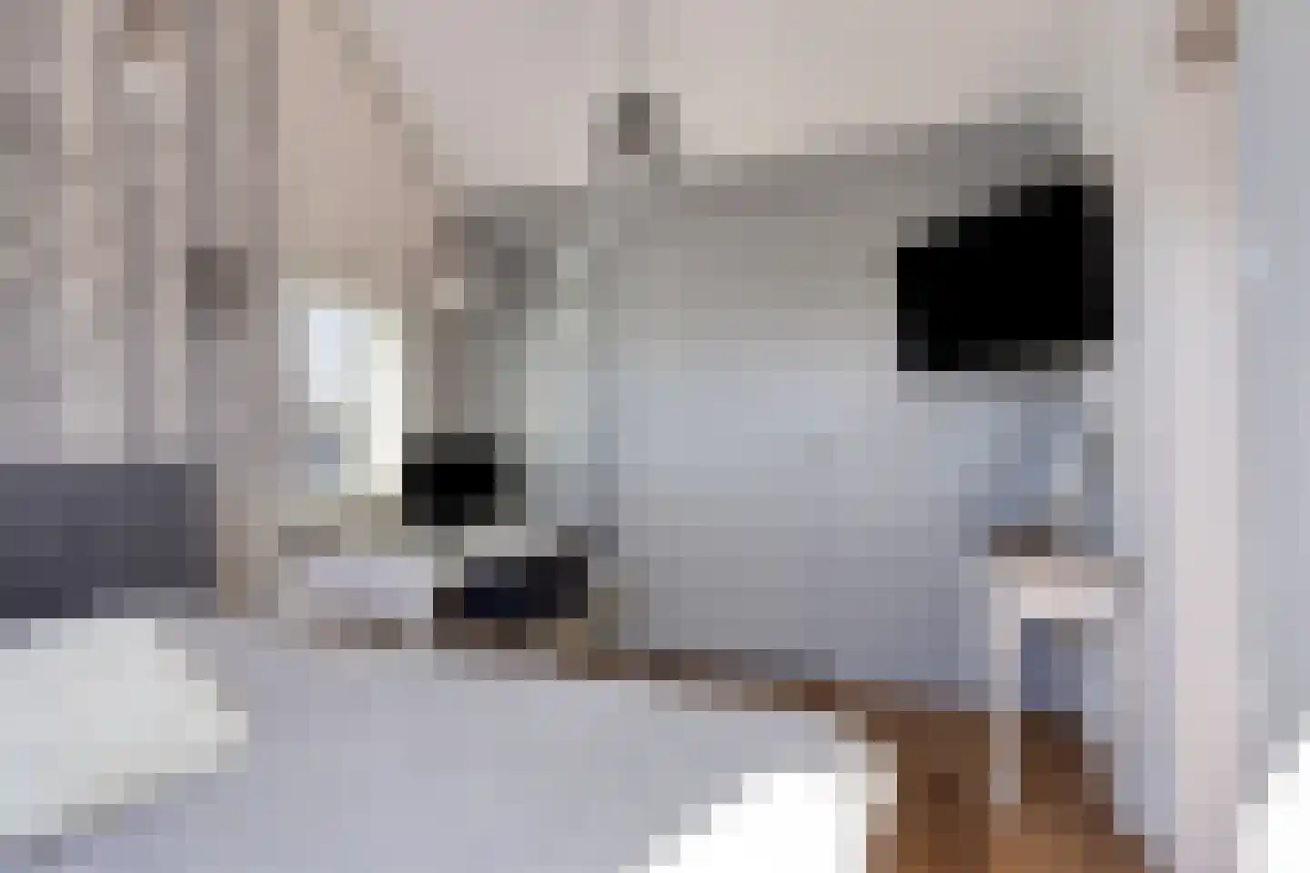 Lijsterbesstraat 9 Halsteren thumbnail 45
