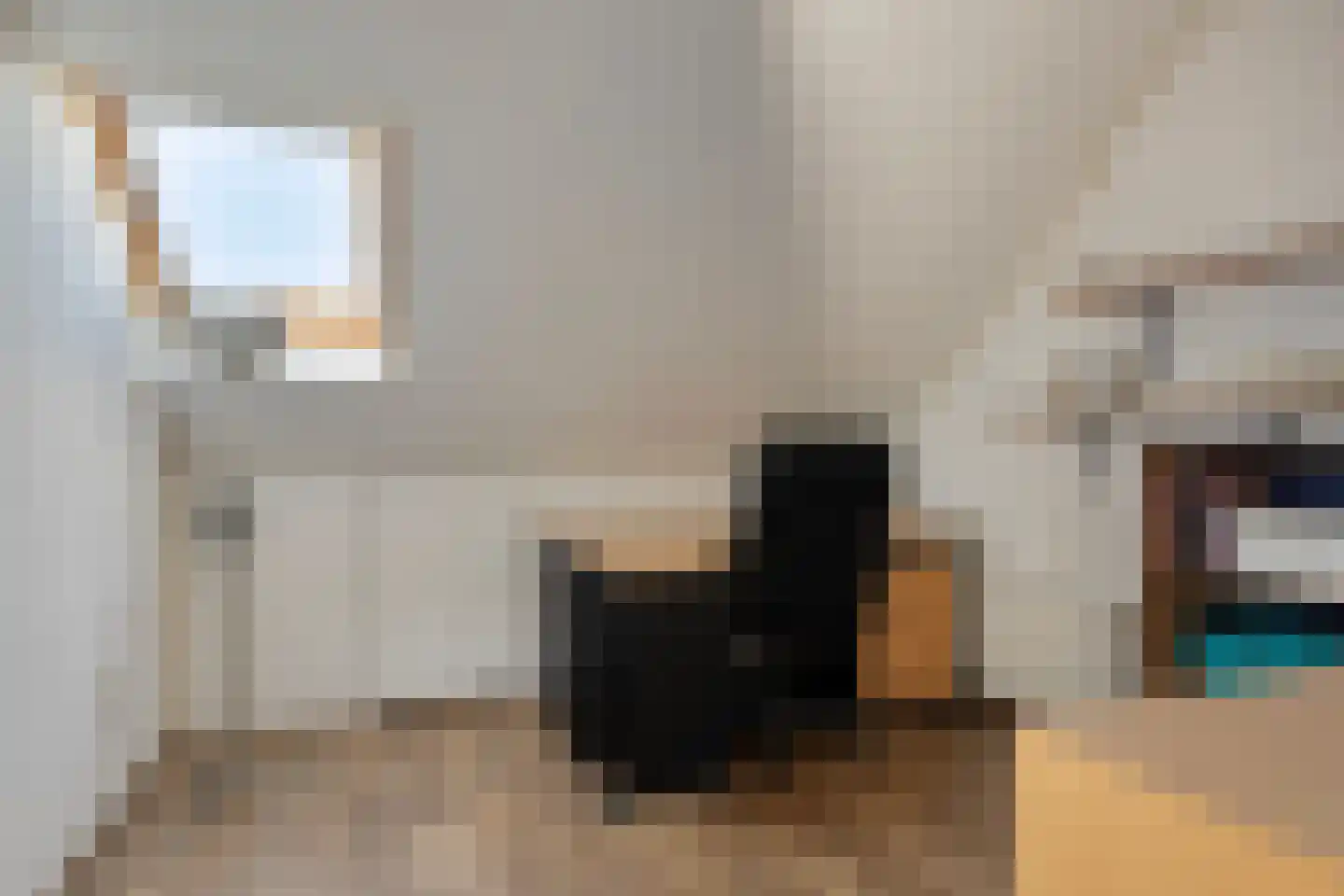 Lijsterbesstraat 9 Halsteren thumbnail 46