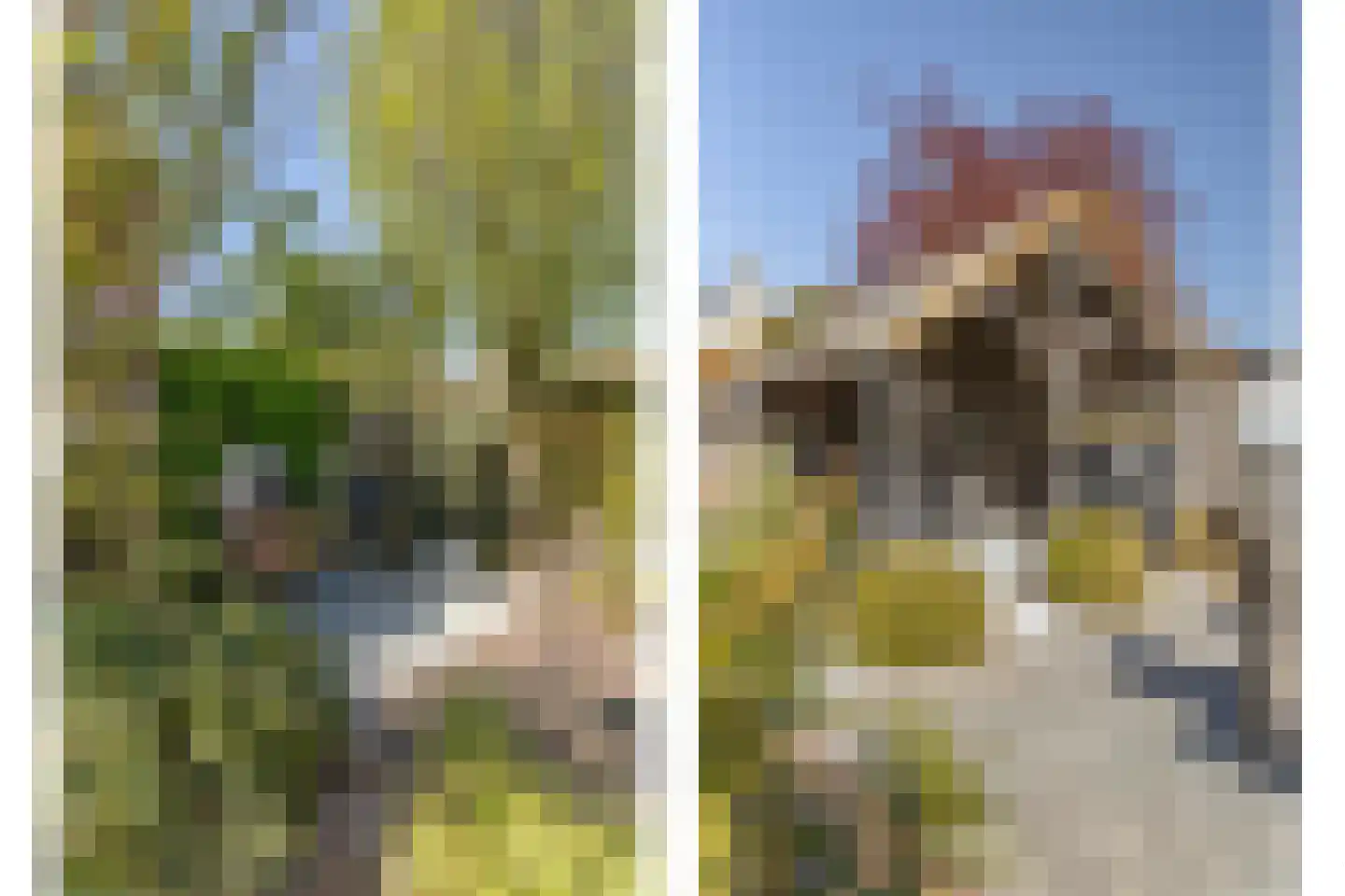 Lijsterbesstraat 9 Halsteren thumbnail 48