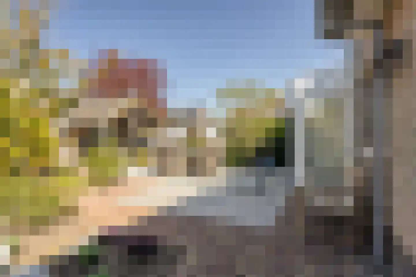 Lijsterbesstraat 9 Halsteren thumbnail 49