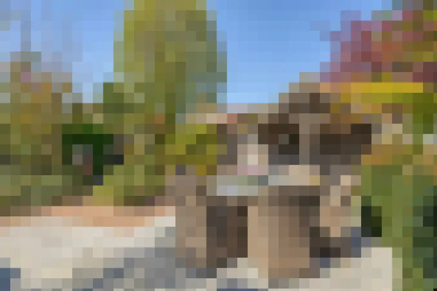Lijsterbesstraat 9 Halsteren thumbnail 50