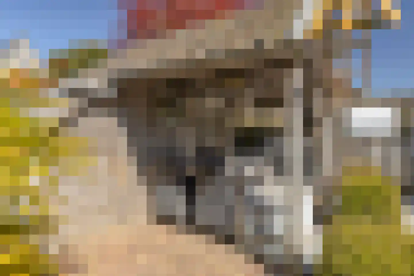 Lijsterbesstraat 9 Halsteren thumbnail 53