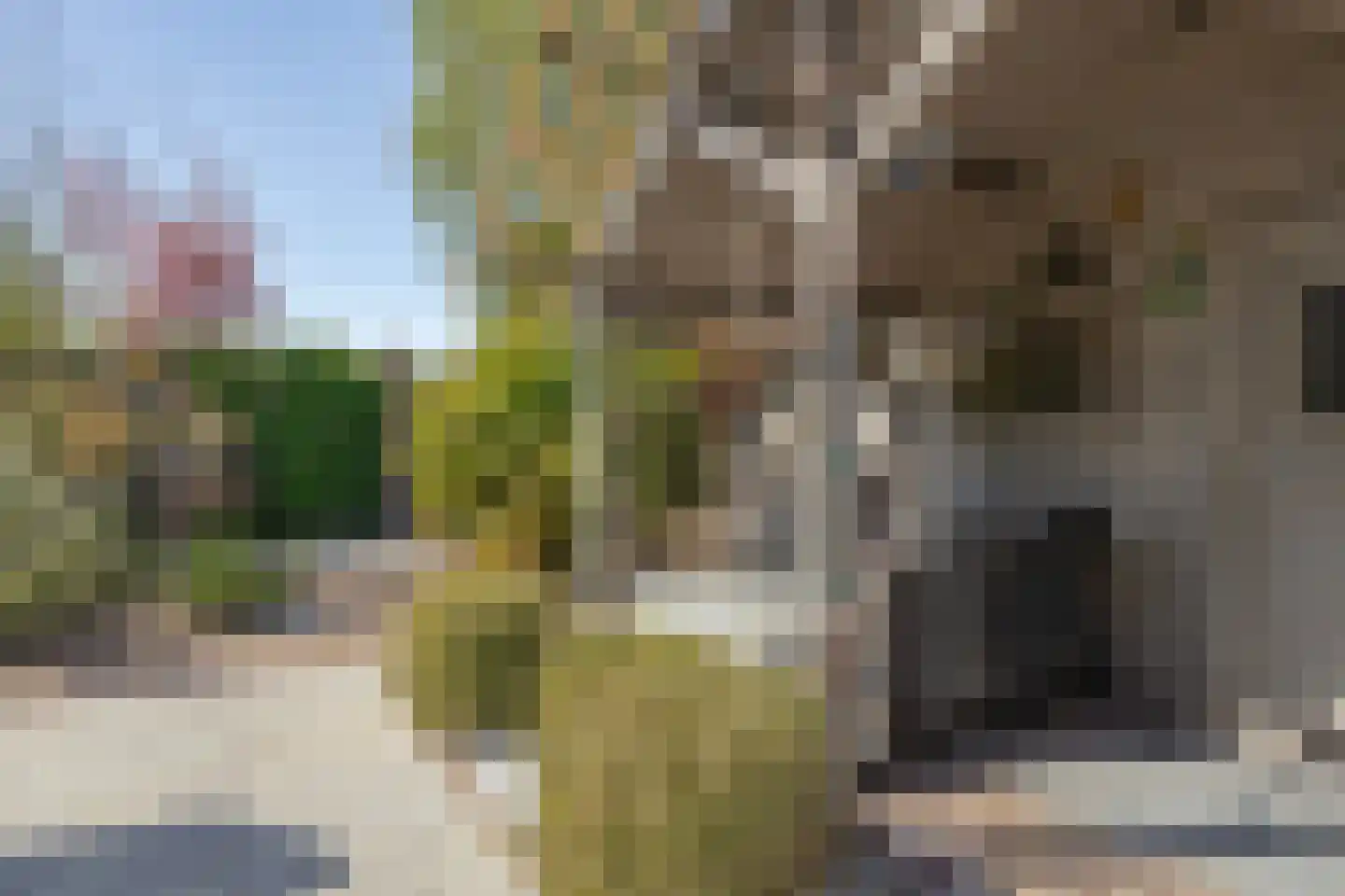 Lijsterbesstraat 9 Halsteren thumbnail 54