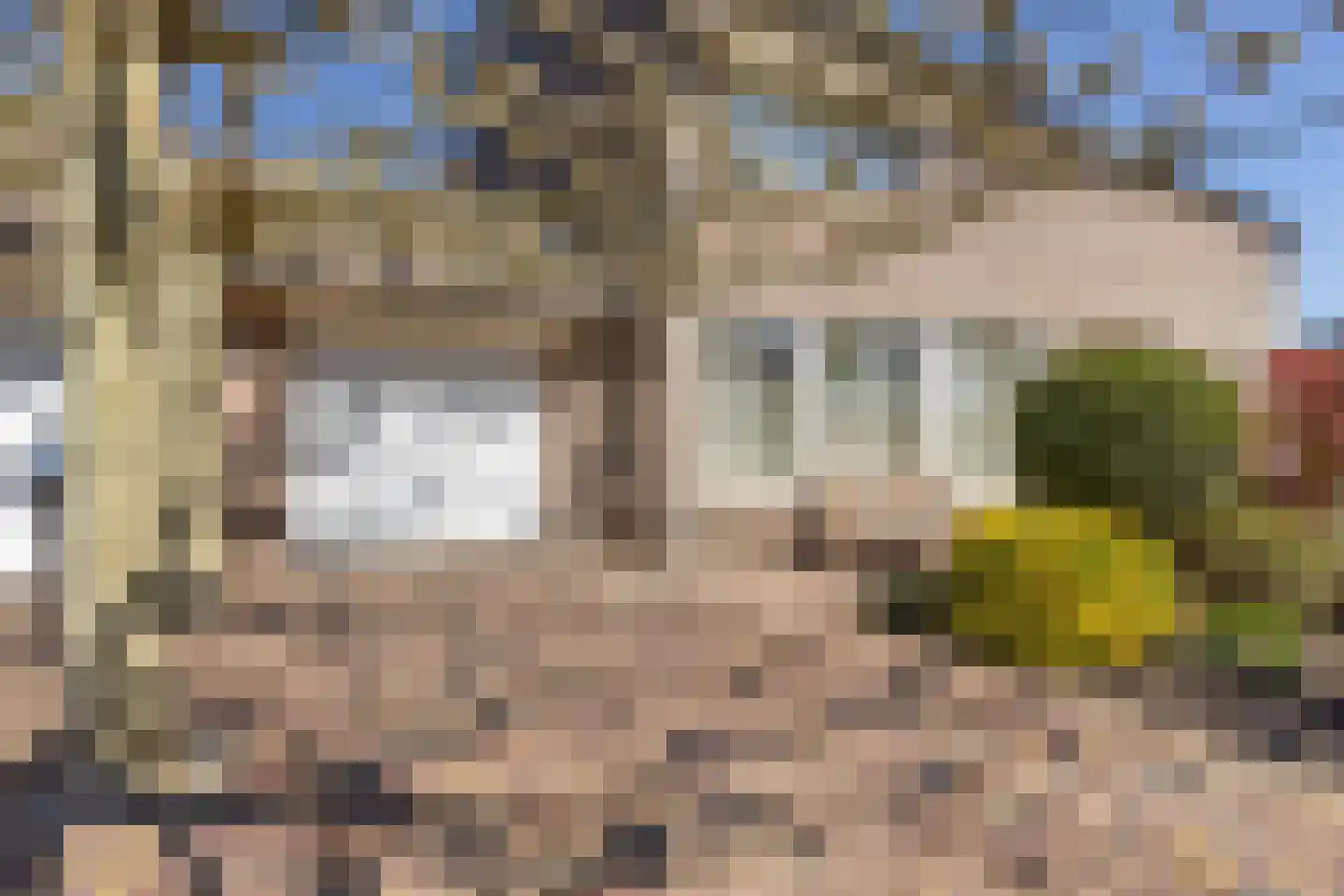 Lijsterbesstraat 9 Halsteren thumbnail 55