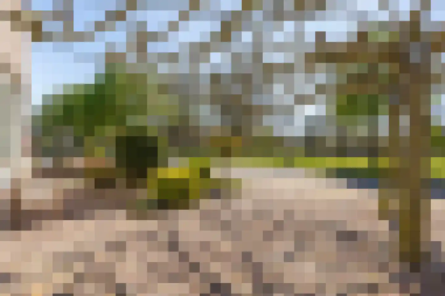 Lijsterbesstraat 9 Halsteren thumbnail 56