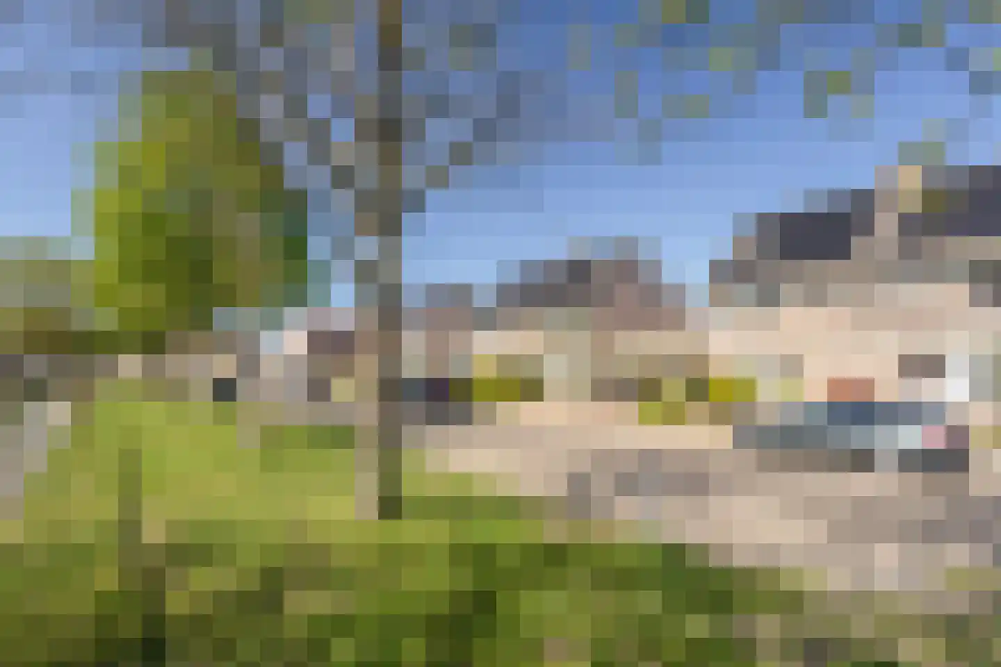 Lijsterbesstraat 9 Halsteren thumbnail 58