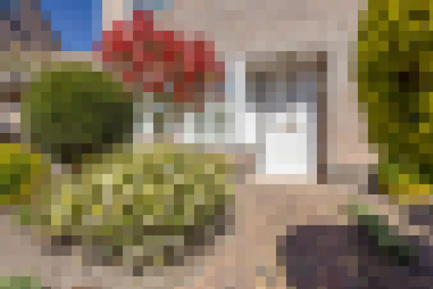 Lijsterbesstraat 9 Halsteren thumbnail 6