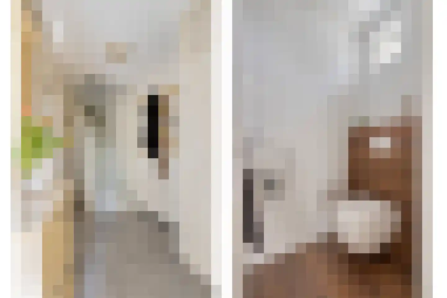 Lijsterbesstraat 9 Halsteren thumbnail 8