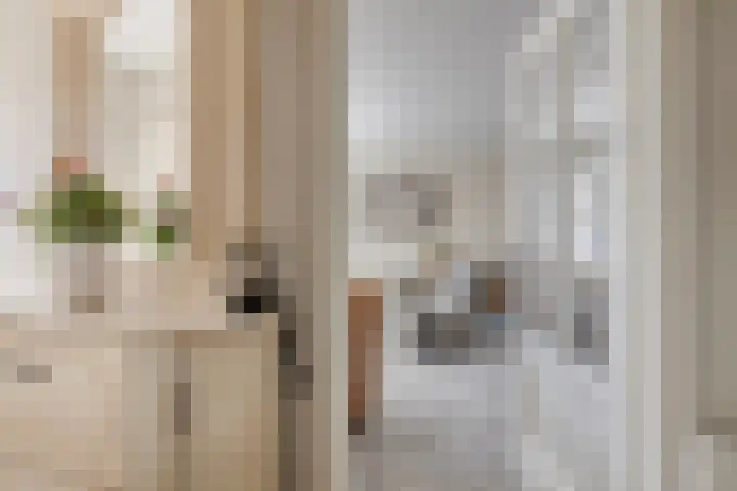 Lijsterbesstraat 9 Halsteren thumbnail 9