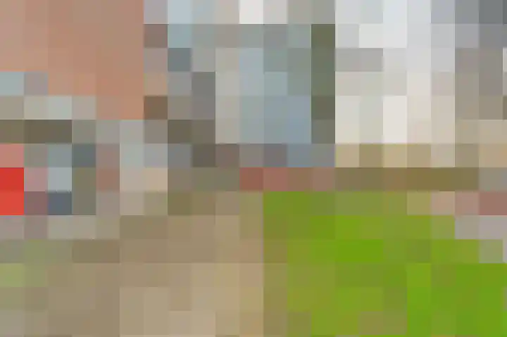 Lijsterbesstraat 98 Nieuwegein thumbnail 32