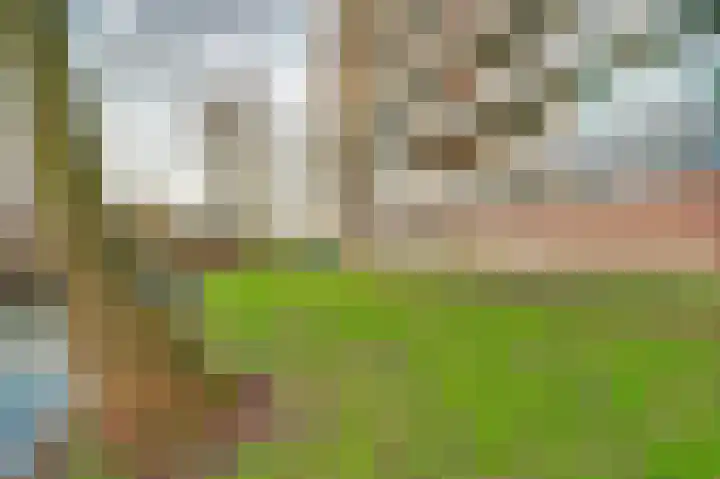Lijsterbesstraat 98 Nieuwegein thumbnail 33