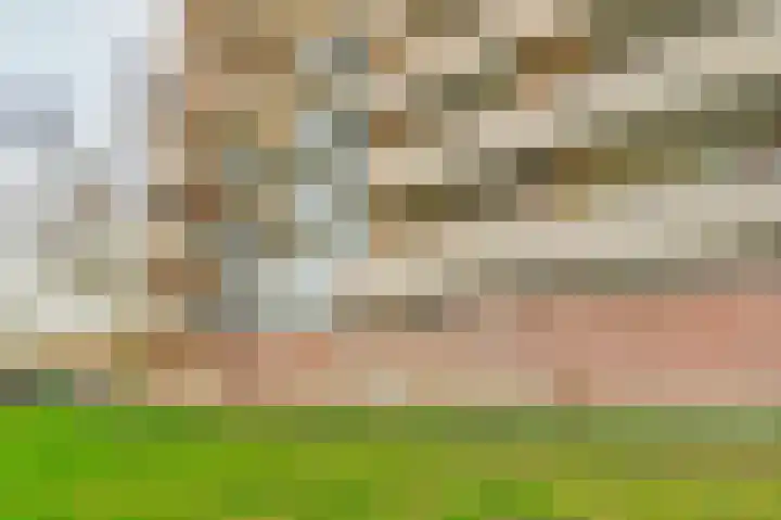 Lijsterbesstraat 98 Nieuwegein thumbnail 34