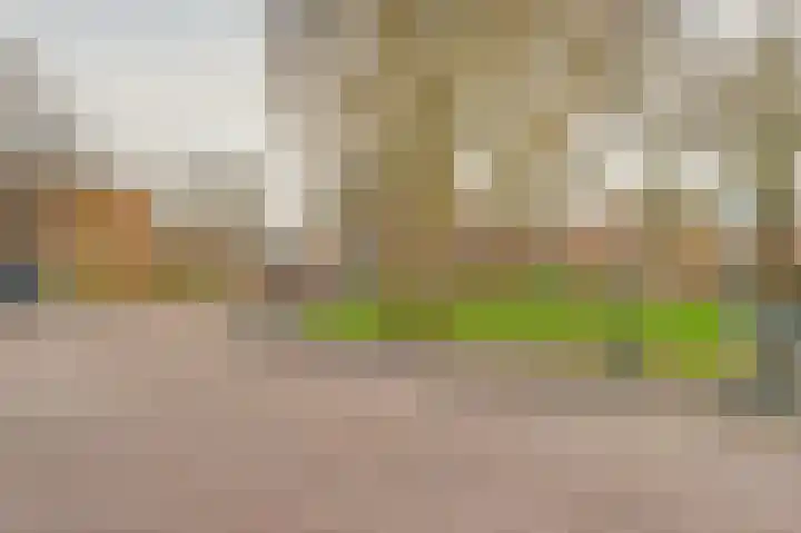 Lijsterbesstraat 98 Nieuwegein thumbnail 37