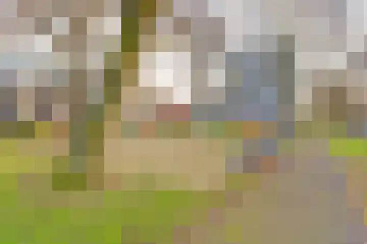 Lijsterbesstraat 98 Nieuwegein thumbnail 38