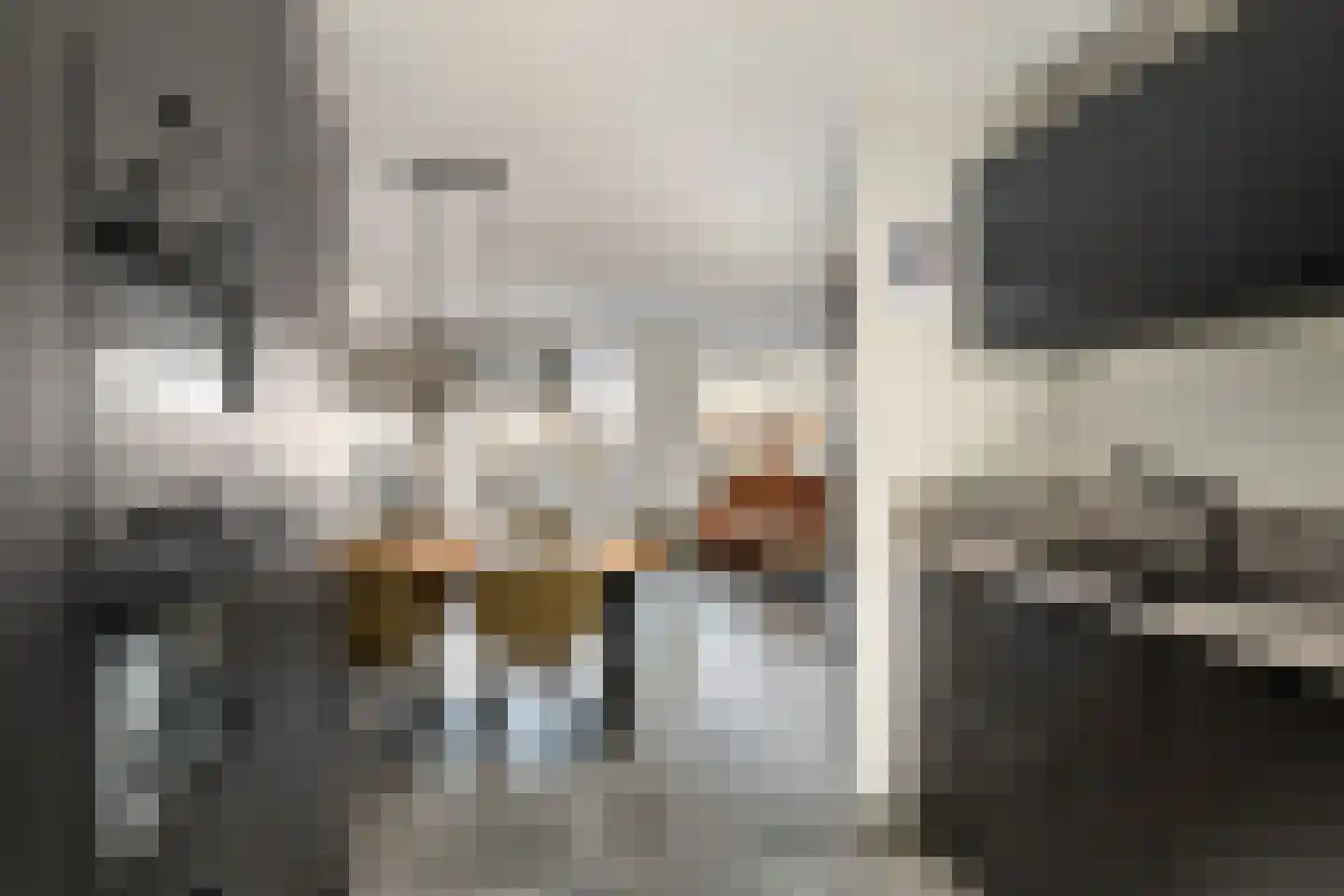Lijsterbeswede 101 Barendrecht thumbnail 17