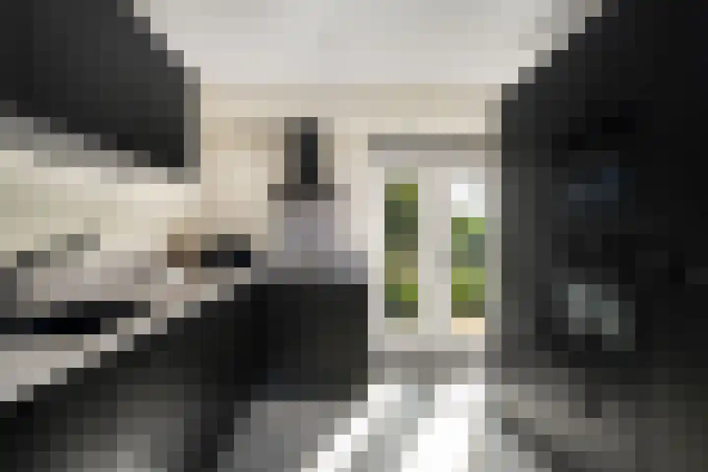 Lijsterbeswede 101 Barendrecht thumbnail 19