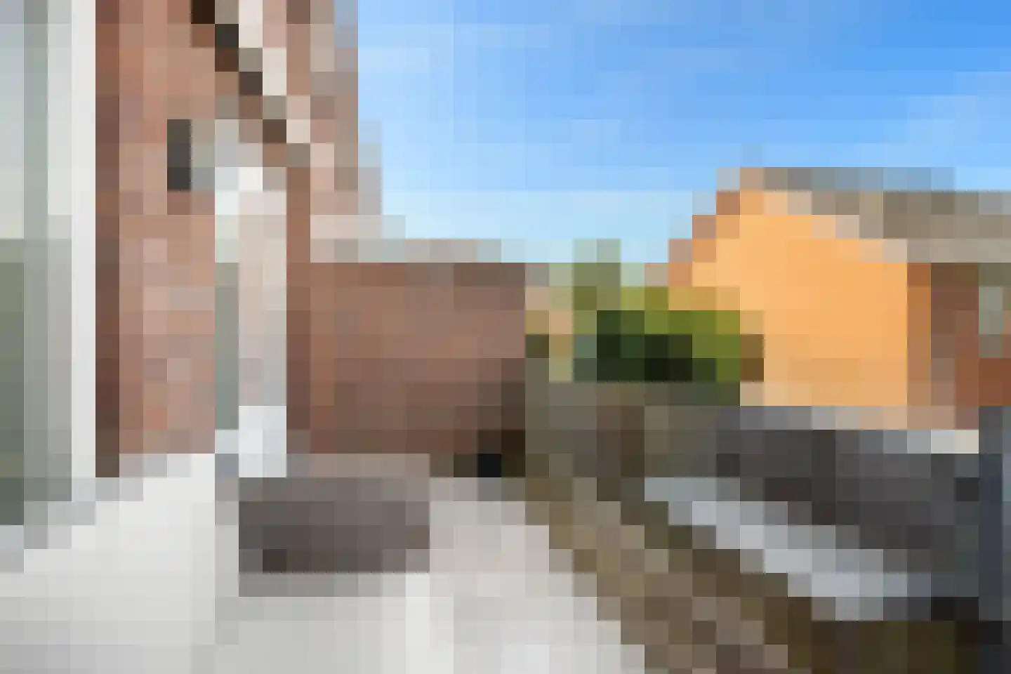 Lijsterbeswede 101 Barendrecht thumbnail 33