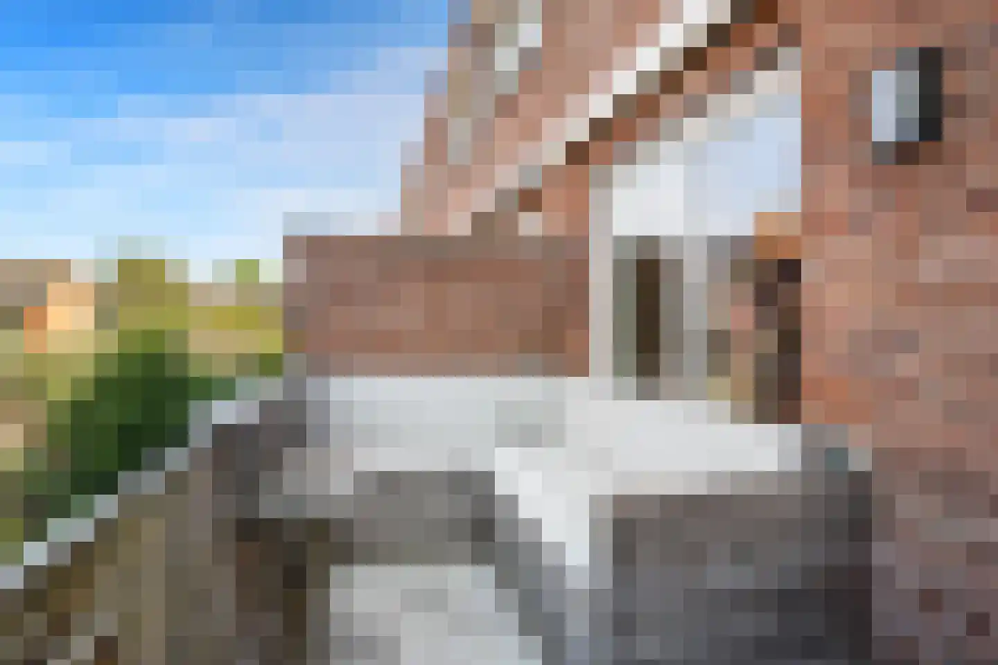 Lijsterbeswede 101 Barendrecht thumbnail 4