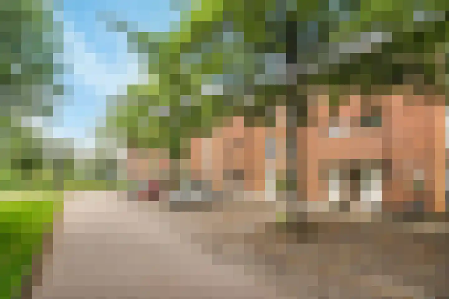Lijsterbeswede 121 Barendrecht thumbnail 25
