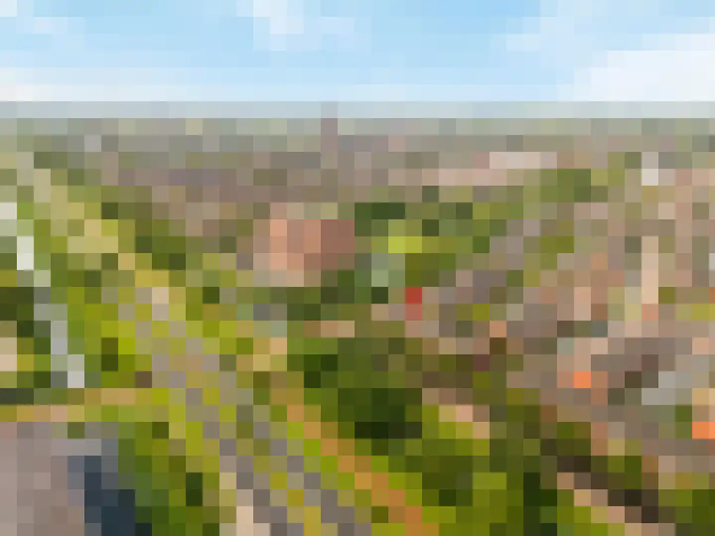 Lijsterbeswede 121 Barendrecht thumbnail 5