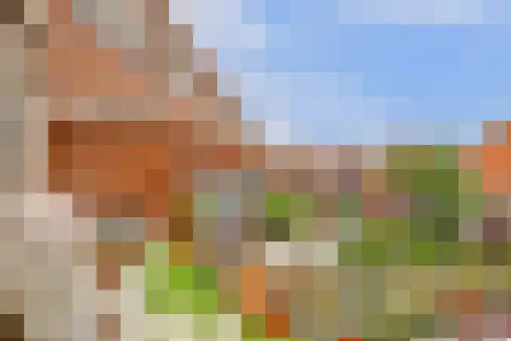 Lijsterbeswede 79 Barendrecht thumbnail 36