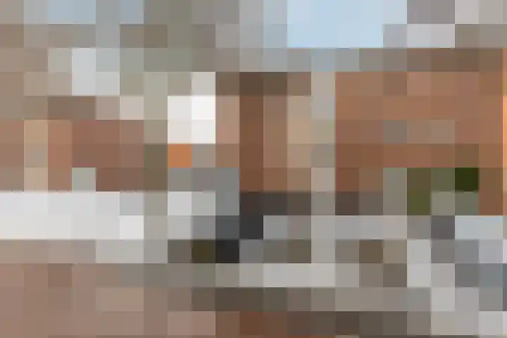 Lijsterbeswede 89 Barendrecht thumbnail 5