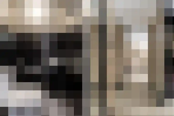 Lijsterbeswede 89 Barendrecht thumbnail 9