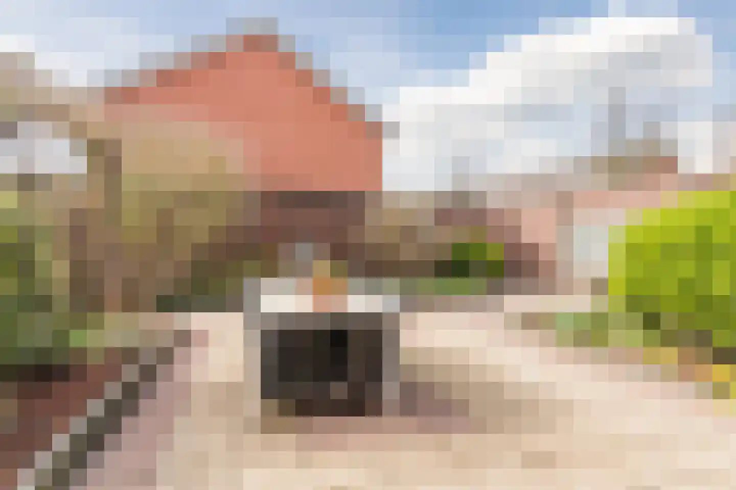 Lijsterbeswede 91 Barendrecht thumbnail 32