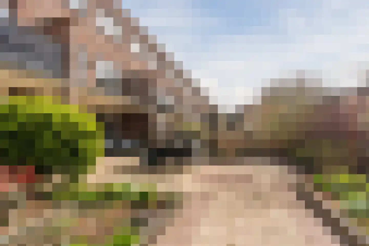 Lijsterbeswede 91 Barendrecht thumbnail 34