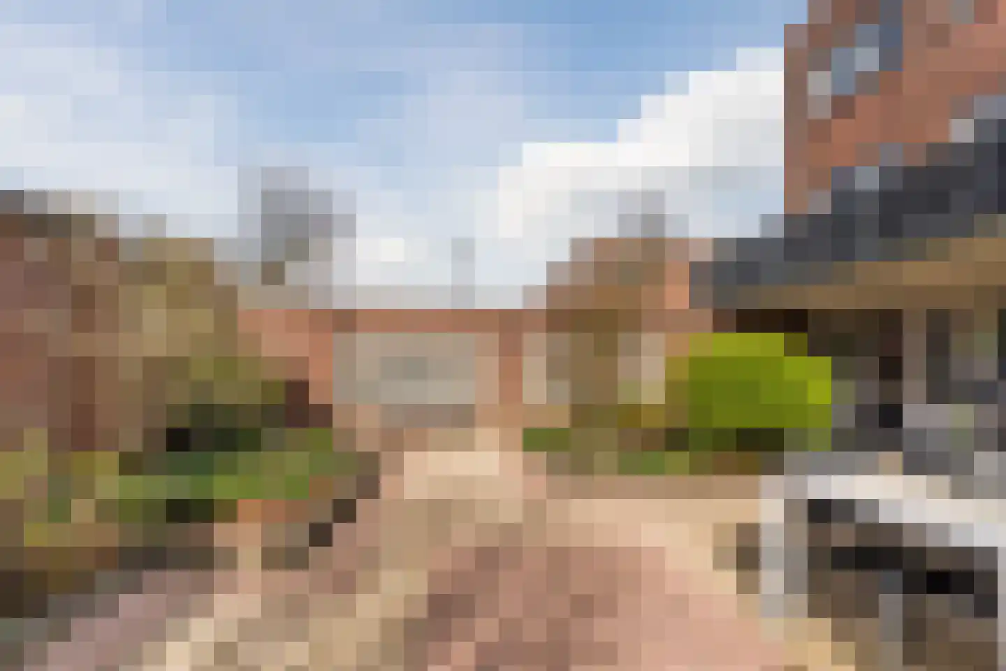 Lijsterbeswede 91 Barendrecht thumbnail 37