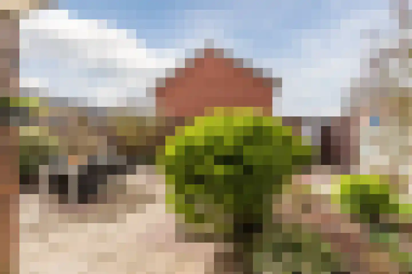 Lijsterbeswede 91 Barendrecht thumbnail 4