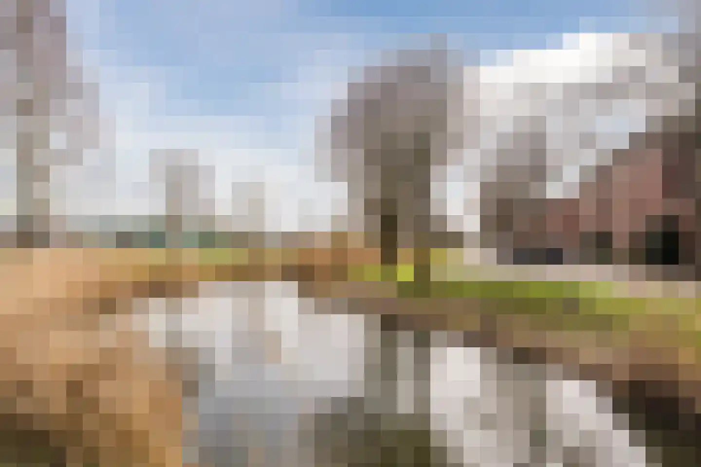Lijsterbeswede 91 Barendrecht thumbnail 40