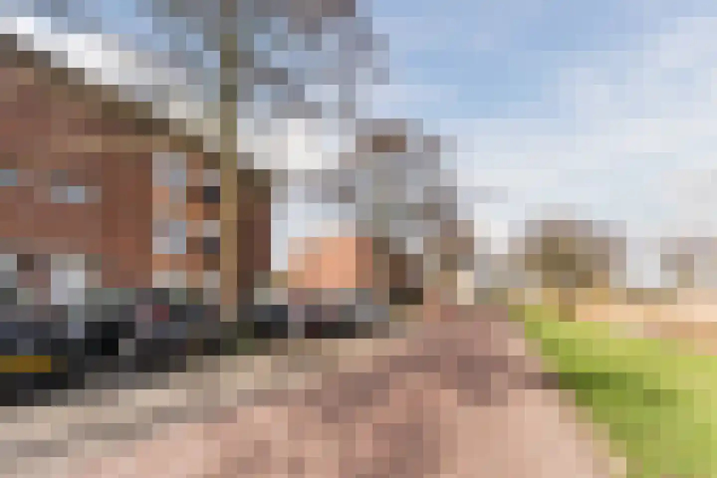 Lijsterbeswede 91 Barendrecht thumbnail 6