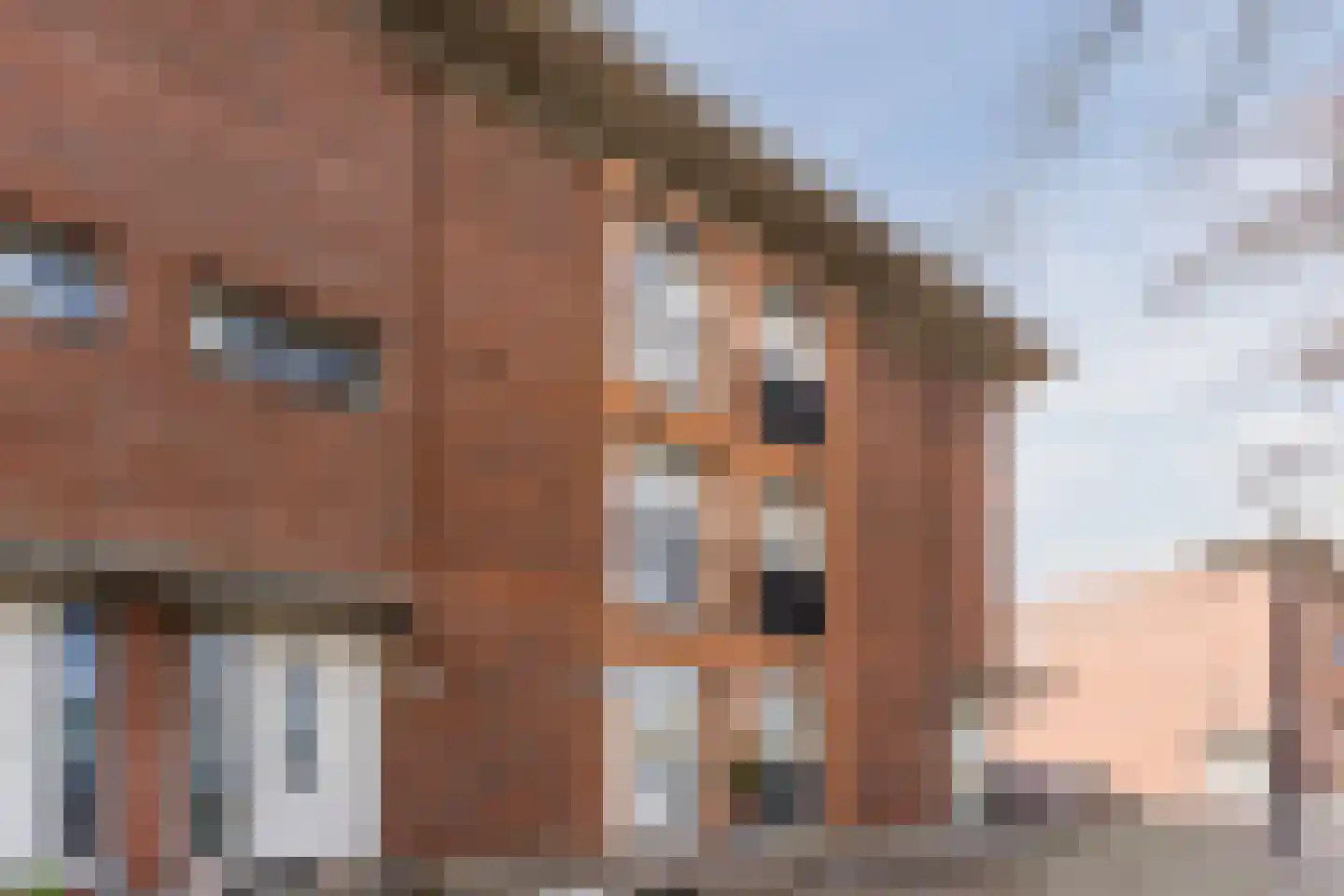 Lijsterbeswede 91 Barendrecht thumbnail 7