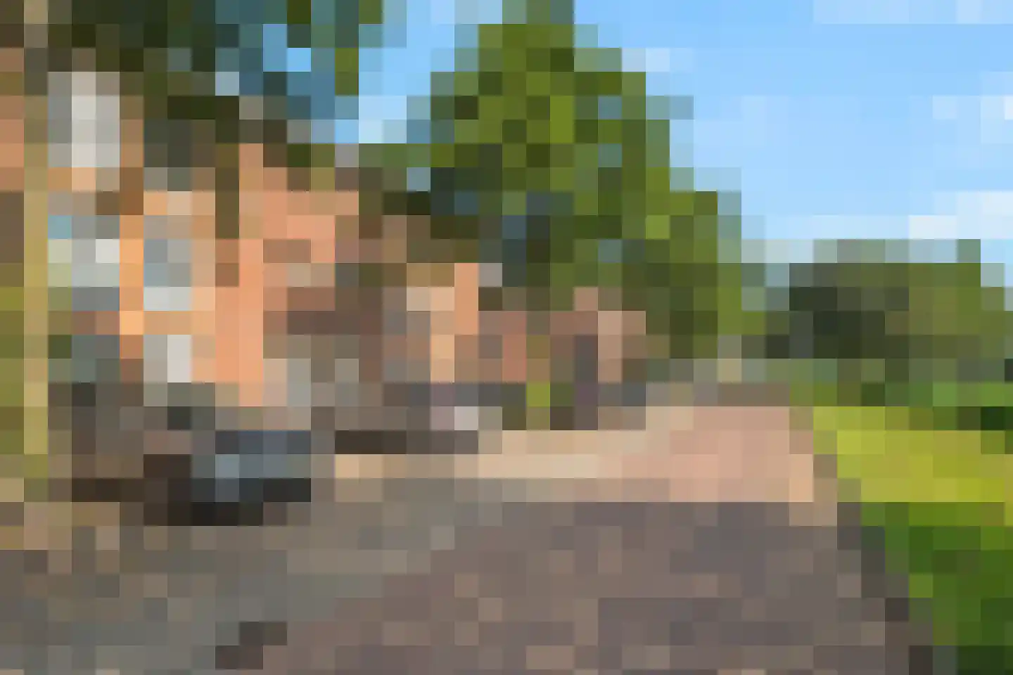 Lijsterbeswede 95 Barendrecht thumbnail 25