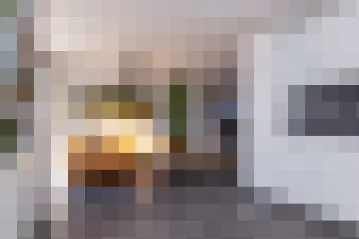 Lijsterbesweg 14 Sint Maarten thumbnail 11