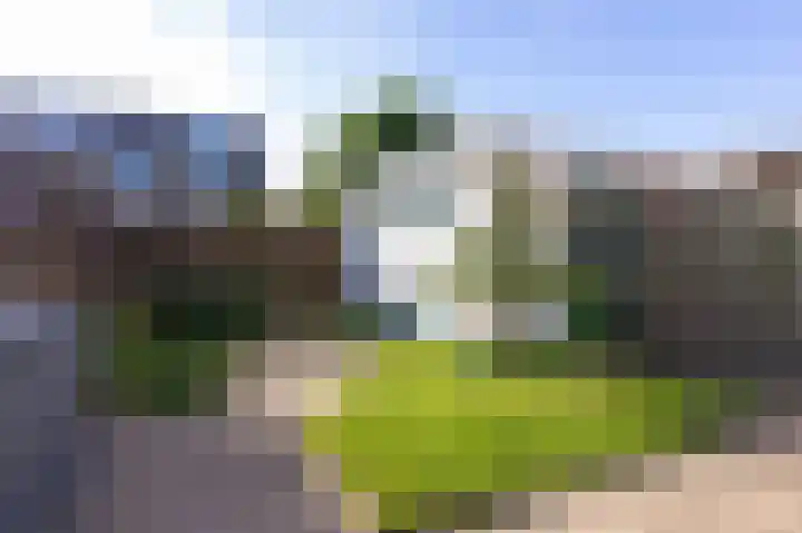 Lijsterbesweg 14 Sint Maarten thumbnail 16