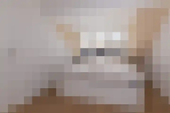 Lijsterbesweg 14 Sint Maarten thumbnail 30