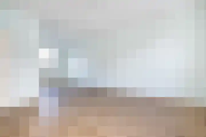 Lijsterbesweg 6 Middelharnis thumbnail 10