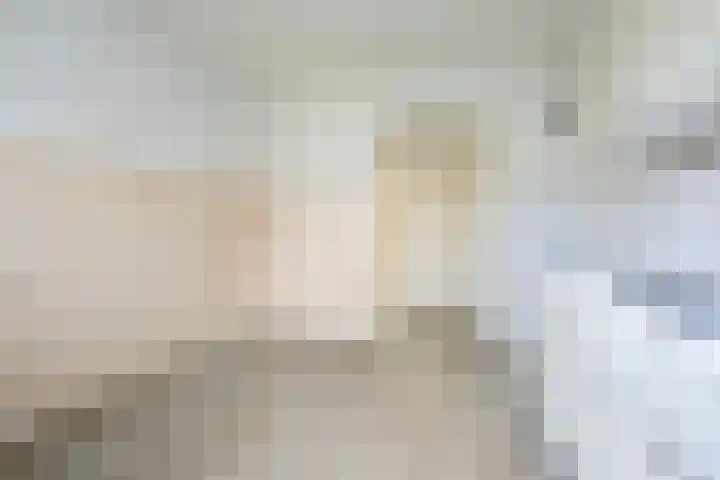 Lijsterbesweg 6 Middelharnis thumbnail 11