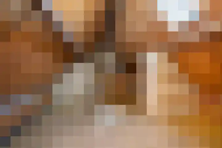 Lijsterbesweg 6 Middelharnis thumbnail 20