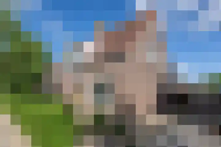 Lijsterbesweg 6 Middelharnis thumbnail 22