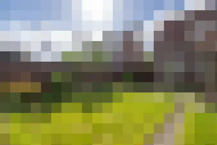 Lijsterbesweg 6 Middelharnis thumbnail 23