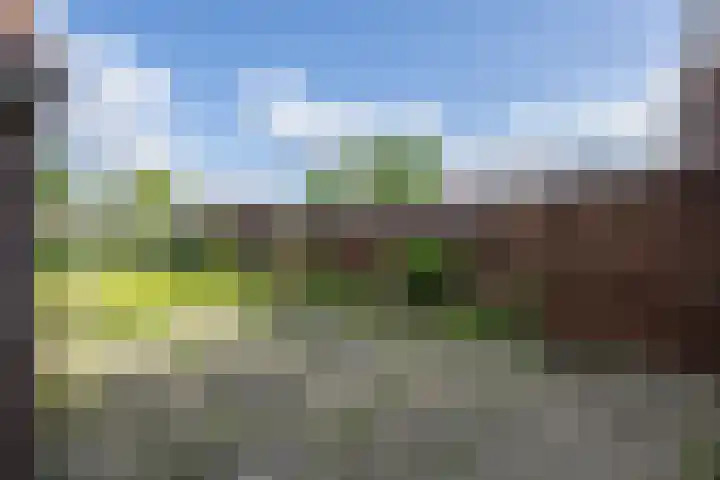 Lijsterbesweg 6 Middelharnis thumbnail 24
