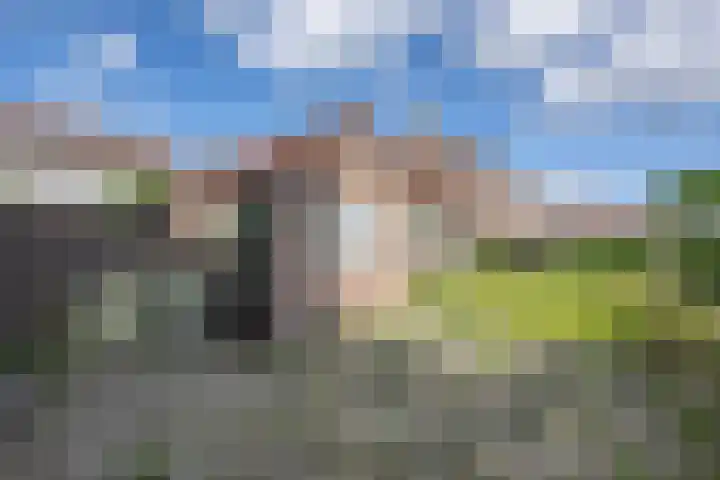 Lijsterbesweg 6 Middelharnis thumbnail 25