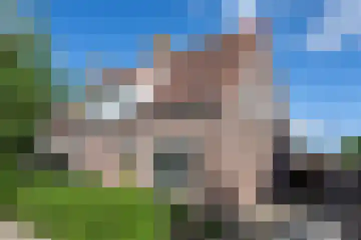 Lijsterbesweg 6 Middelharnis thumbnail 29