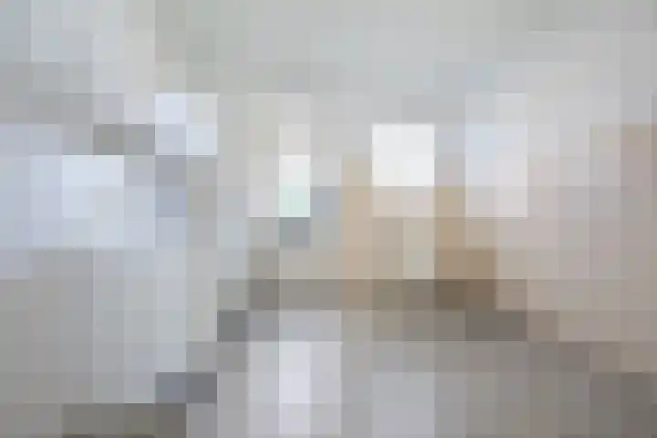 Lijsterbesweg 6 Middelharnis thumbnail 4